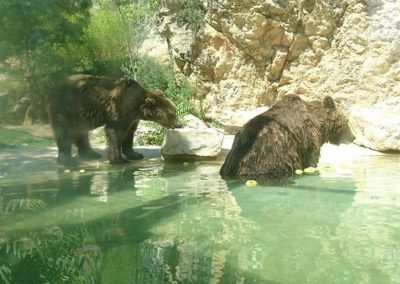 Le parc animalier de La Barben