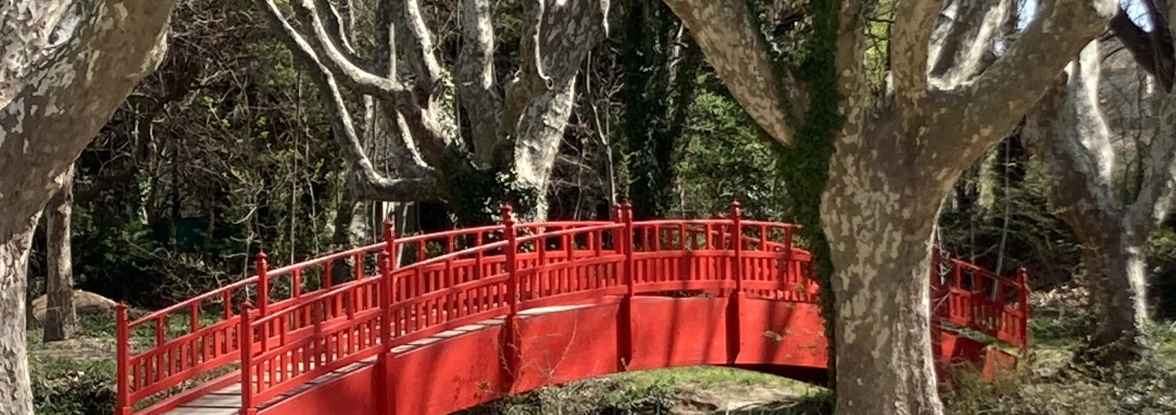 Pont rouge dans le parc des Cèdres